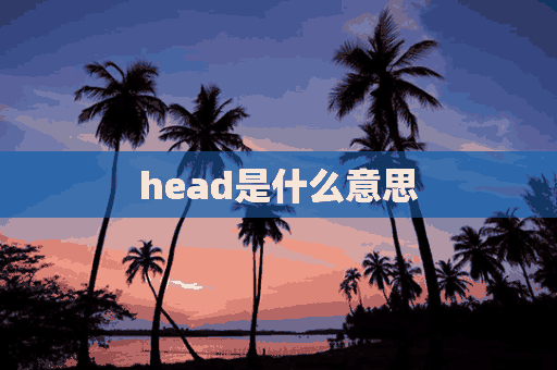 head是什么意思(head是什么意思中文)